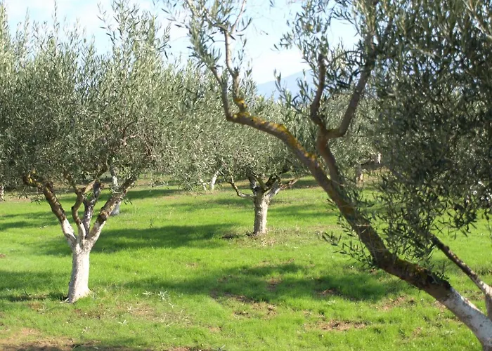 Παληοκτημα - Palioktima
