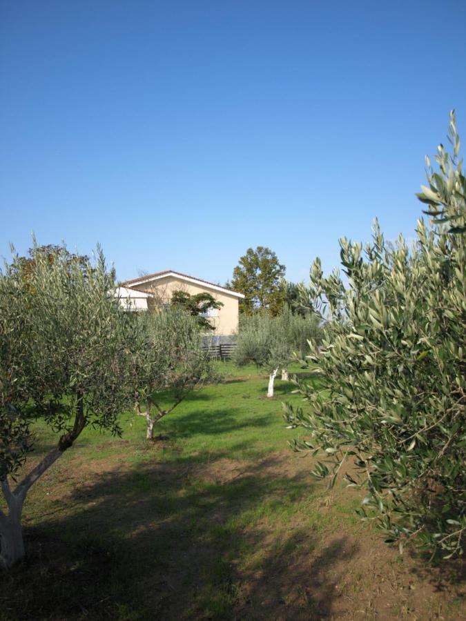 Apartment παληοκτημα - Palioktima Neon Rysion
